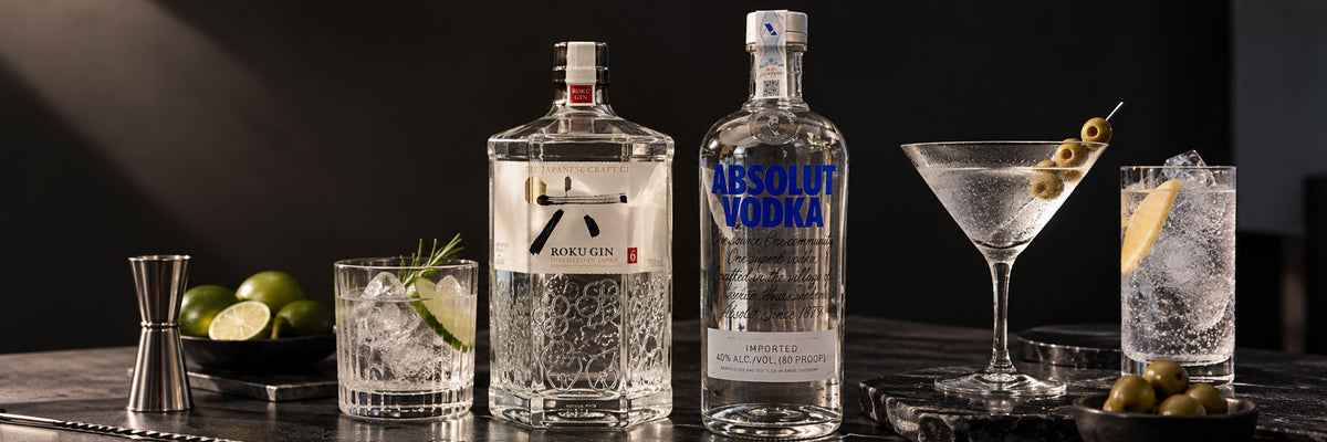 Vodka vs Gin: Which One Is Better for Your Next Party?