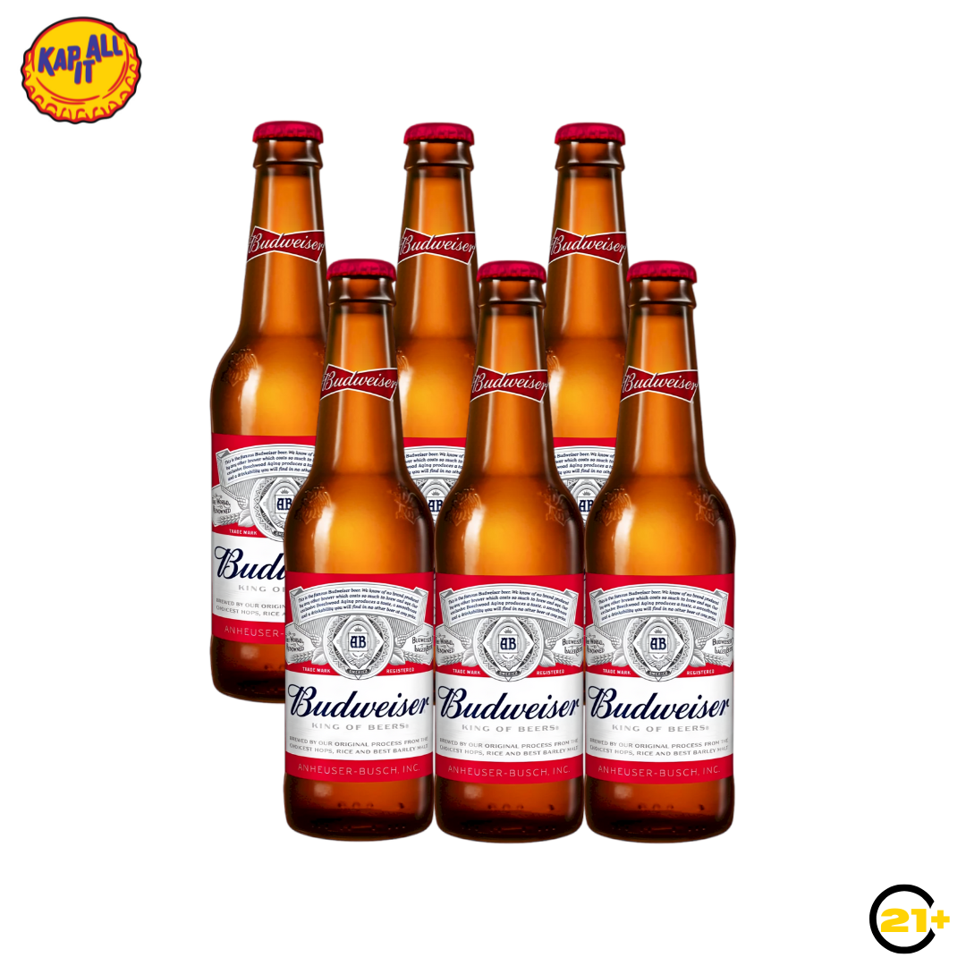 PAKET BEER BUDWEISER PINT 355ml - 6 BOTTLE