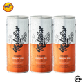 Triple Malabar Ginger Ale Can 250ml - 3 Cans