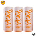 Triple Santai Apple, Ginger & Acai Can 330ml - 3 Cans
