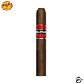 SILENCIO RED DOT ROBUSTO