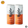 Twin Malabar Ginger Ale Can 250ml - 2 Cans