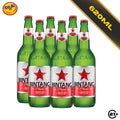 Bundles Bintang Pilsener Beer Bremer 620ml - 6 Bottles