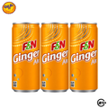 Triple F&N Ginger Ale 325ml - 3 Cans