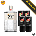 Clean Gin Set - Suntory Roku Japanese Craft Gin 700ml + F&N Club Soda Water 325ml