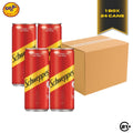 Bundles Schweppes Dry Ginger Ale 250ml - 1 Box 24 Cans